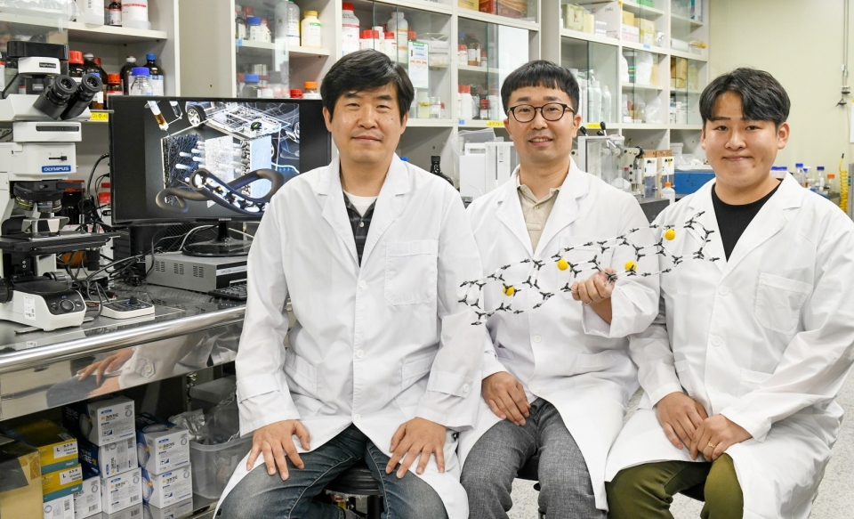 한국전기연구원 리튬금속전지용 리튬 저장 기술 연구팀(왼쪽부터 이상민 박사, 김병곤 박사, 강동우 연구원)