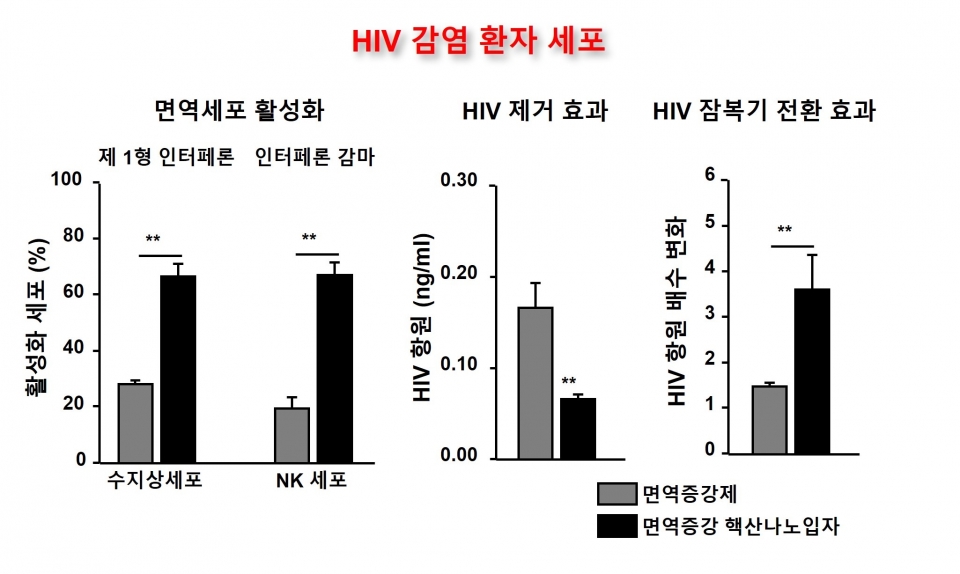 핵산나노입자의 면역세포 활성화 및 HIV 제거와 잠복기 전환 효과