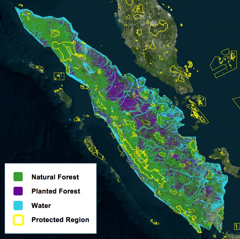 KT SAT과 파트너쉽을 맺은 오비탈인사이트 플랫폼을 활용해 수마트라 섬의 산림 현황을 분석한 모습