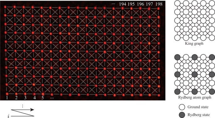 가로 18행, 세로 11열의 총 198개의 광 집게 사진이다. 각 광 집게에는 원자가 절반의 확률로 잡히며, 각 반복 측정마다 평균적으로 100개의 원자가 잡힌다. 원자들이 충분히 가깝게 붙어 있어 가장 가까운 원자와 그다음으로 가까운 대각 방향의 원자까지 연결된 킹 그래프를 이룬다. 오른쪽은 킹 그래프와 킹 그래프상에서 최대독립집합의 해를 나타낸 모식도이다.