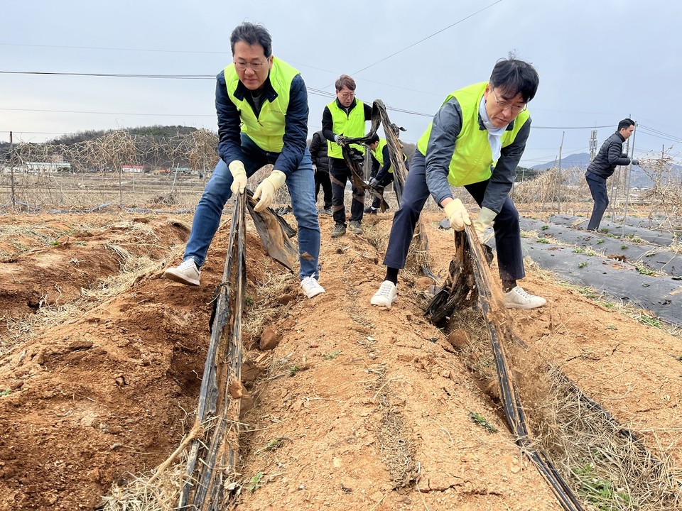 25일 인천 강화군 일대에서 농협 임직원 및 농가주부모임 인천시연합회 회원이 '합동 영농폐기물 수거 캠페인'을 진행했다.