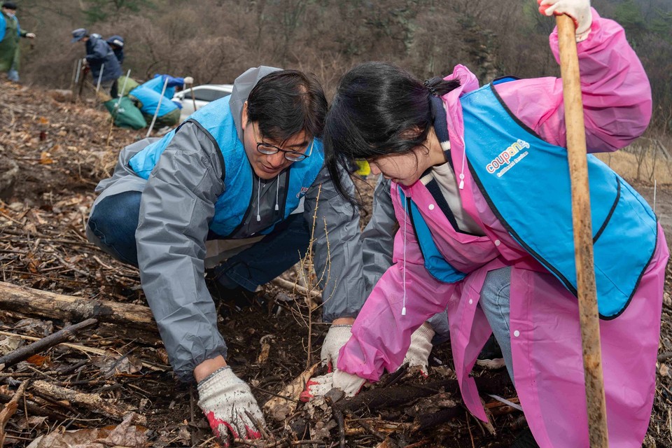 정종철 쿠팡풀필먼트서비스 법무부문 대표이사가 28일 경기도 연천군 전곡읍 늘목리 산에서 직원들과 함께 나무를 심고 있다.